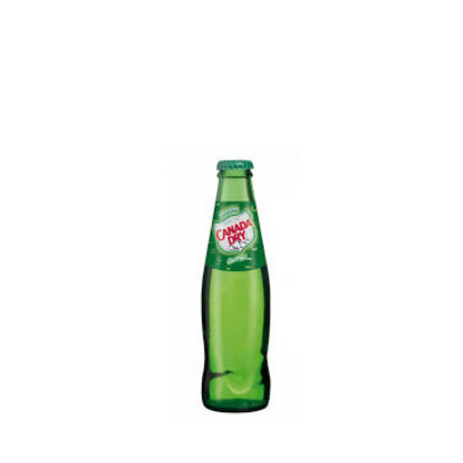 Canada Dry - 24 x 20 cl | Livraison de boissons Gaston